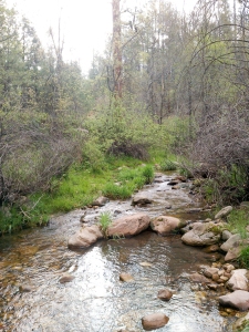 Rocky Stream Near Horton Picnic Area, Horton Creek - Highline - Derrick Trail Loop, Payson, Arizona