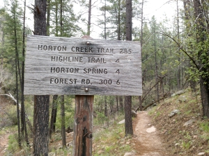 Horton Trailhead Starting Point, Horton Creek - Highline - Derrick Trail Loop, Payson, Arizona