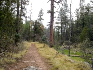 Wide Trails, Horton Creek - Highline - Derrick Trail Loop, Payson, Arizona