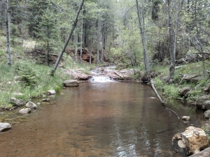 Quiet Creek Portion by the Teepee Campground, Horton Creek - Highline - Derrick Trail Loop, Payson, Arizona