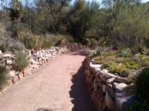 Wide Scenic Trail, Boyce Thompson Arboretum, Superior, Arizona